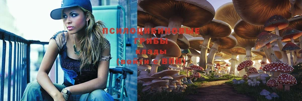 ГАЛЛЮЦИНОГЕННЫЕ ГРИБЫ Баксан