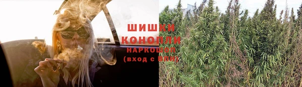 ГАЛЛЮЦИНОГЕННЫЕ ГРИБЫ Баксан