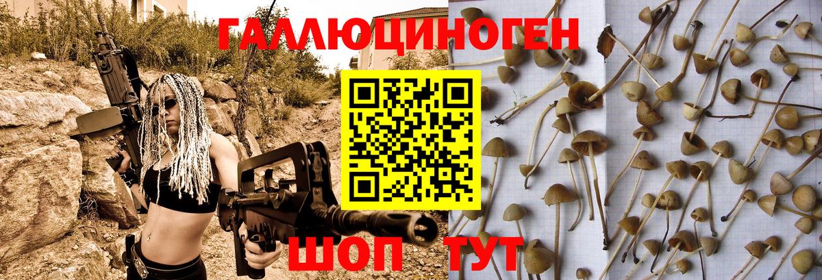 Галлюциногенные грибы ЛСД Семилуки