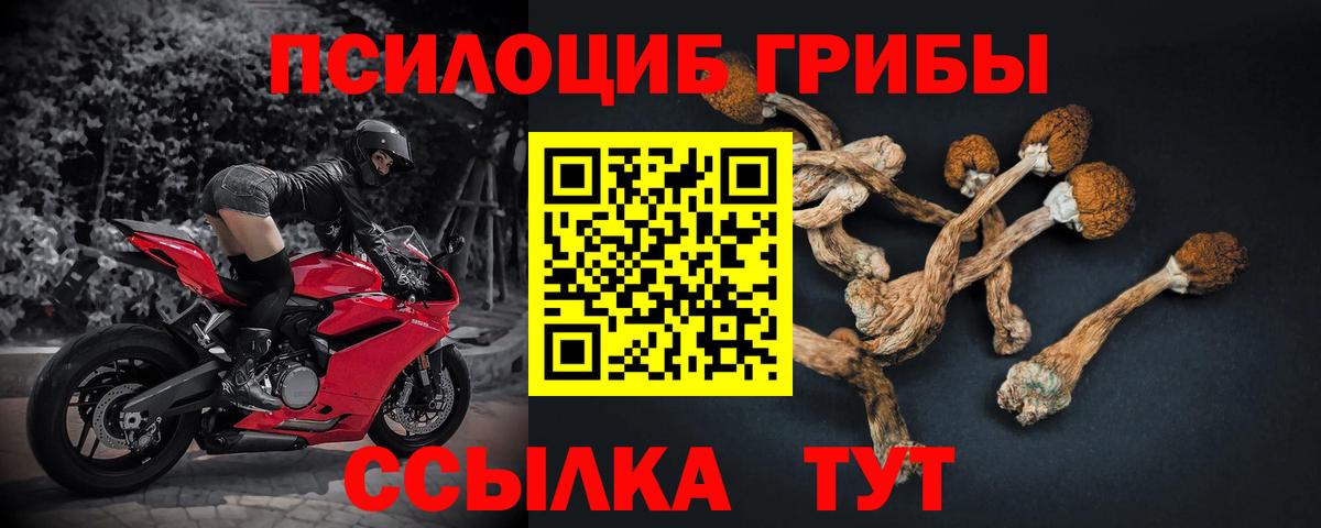 наркошоп  Галлюциногенные грибы Psilocybe  Вход с VPN  Семилуки 